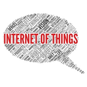 Security, data warehousing and cloud computing are some of the major IT components that support IoT-focused endeavors. 
