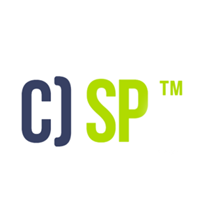 CSP - Certified Security Principles