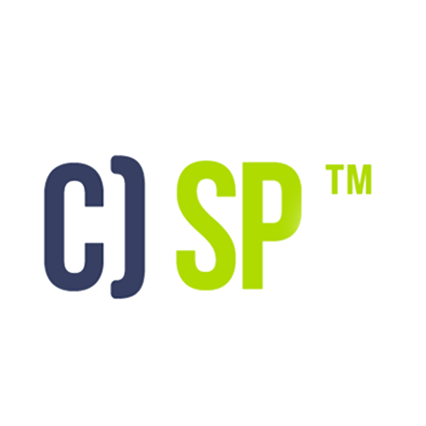 CSP - Certified Security Principles