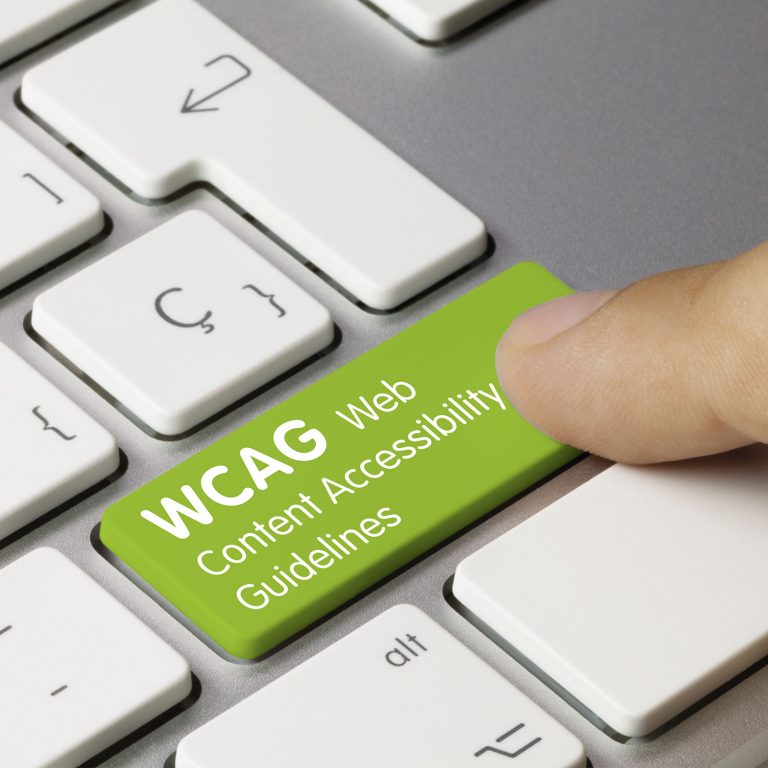 Overview Of WCAG 2 1 Understanding The Web Content Accessibility   Wcag Training 768x768 