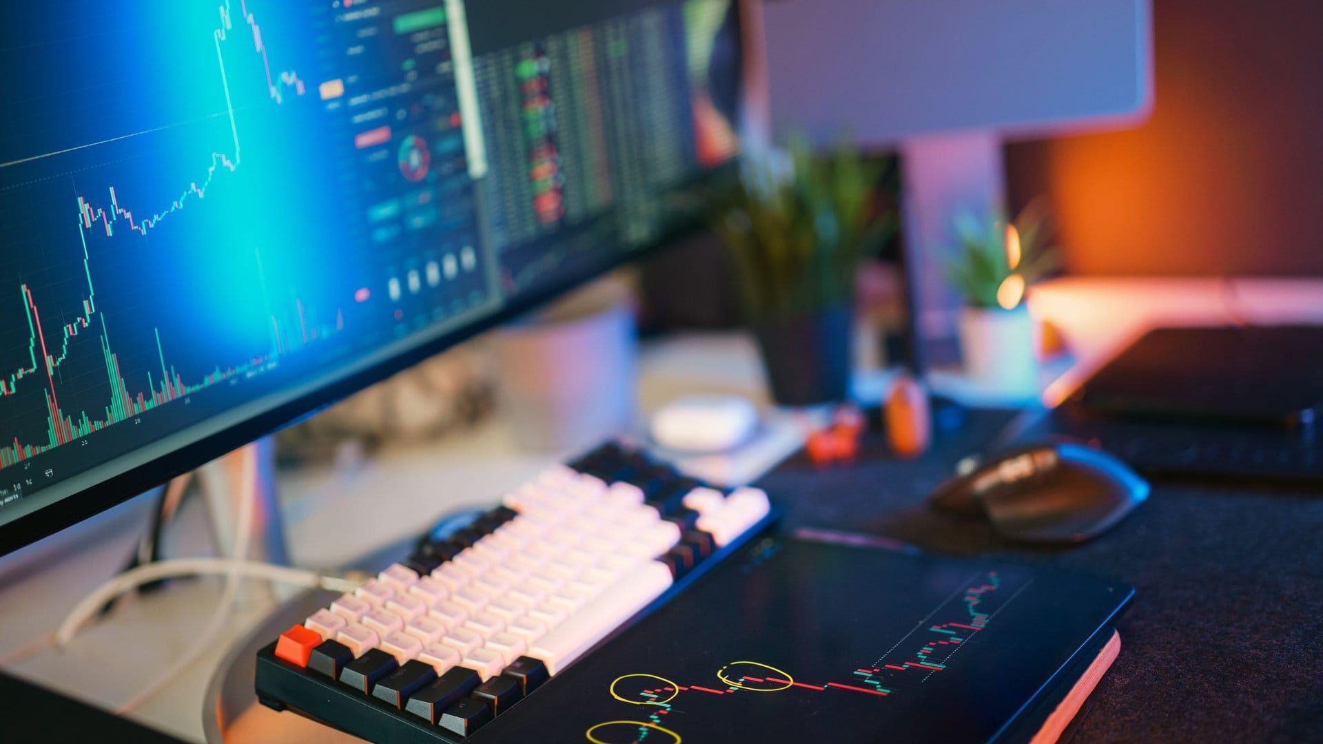 Cisco CCIE certification — Cisco CCIE Certification: Is It Worth It for Senior Network Engineers | photo by Jakub Zerdzicki via Pexels