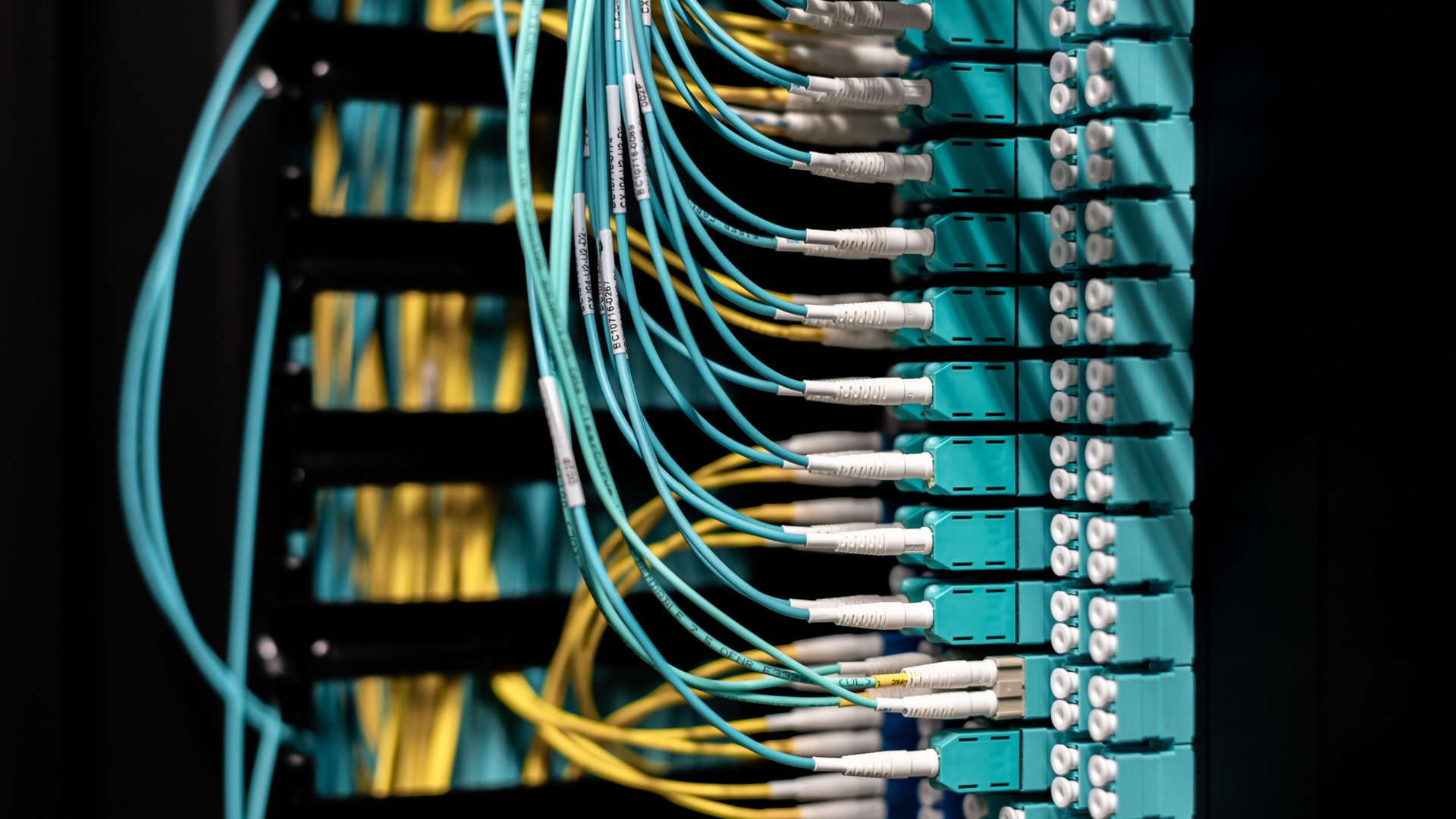 network troubleshooting skills — Network Troubleshooting Skills Every Early IT Professional Should Build | photo by Brett Sayles via Pexels